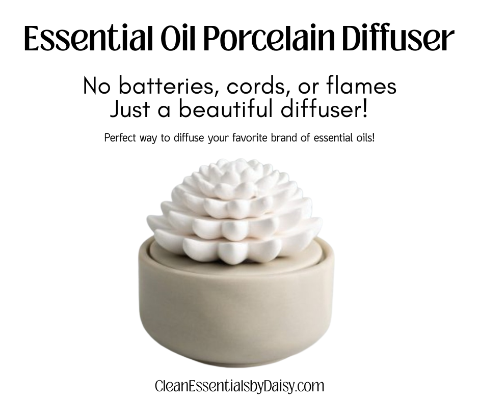 Porcelain Diffuser, Beige Succulent