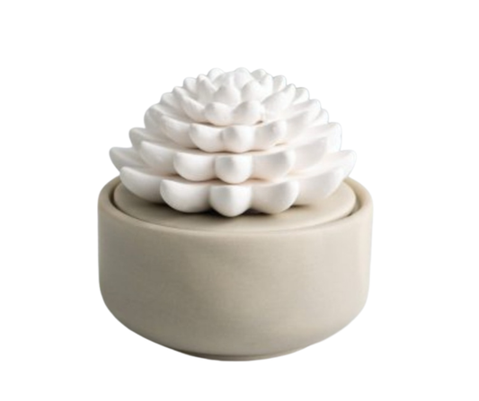 Porcelain Diffuser, Beige Succulent